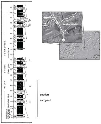Rock Magnetic Cyclostratigraphy of the Carboniferous Mauch Chunk Formation, Pottsville, PA, United States